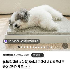 강아지 애견 대리석 쿨매트