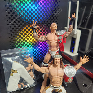 WWE 피규어 몇개 정리합니다