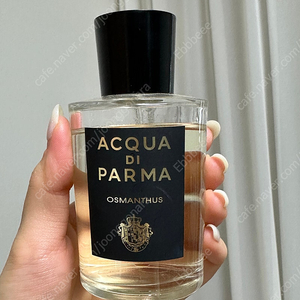 아쿠아 디 파르마 오스만투스 100ml