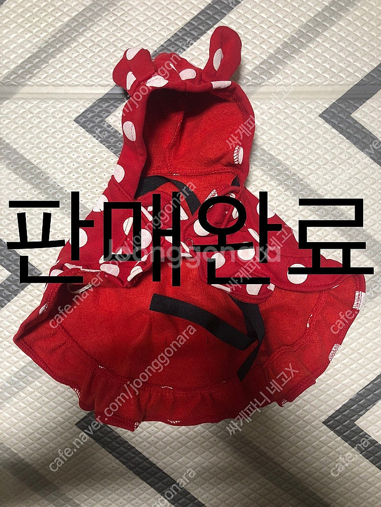 강아지 옷 개당 5천원--5