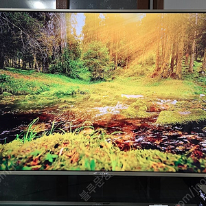 스마트라TV 55인치 UHD-55F 팝니다.