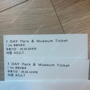 롯데월드 이용권