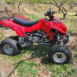 효성.TE450.매뉴얼.ATV.명기.450CC.사발이.묻따.