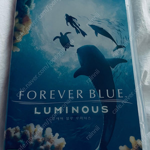 포에버 블루 루미너스 타이틀