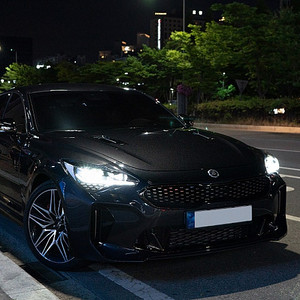 1인신조) 스팅어 마이스터 3.3 RWD