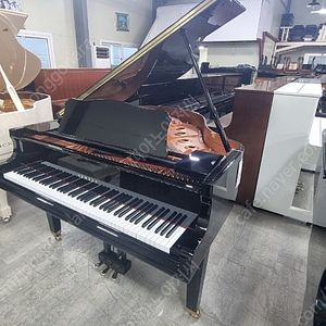 2022년제품야마하베이비그랜드피아노 GC-1