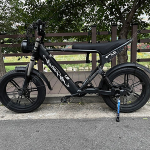 이지라이드 올터레인 맥스 48V 1000w