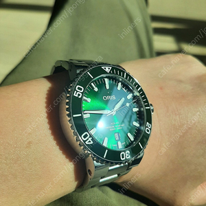 오리스 애커스 ORIS AQUIS 그린 판매