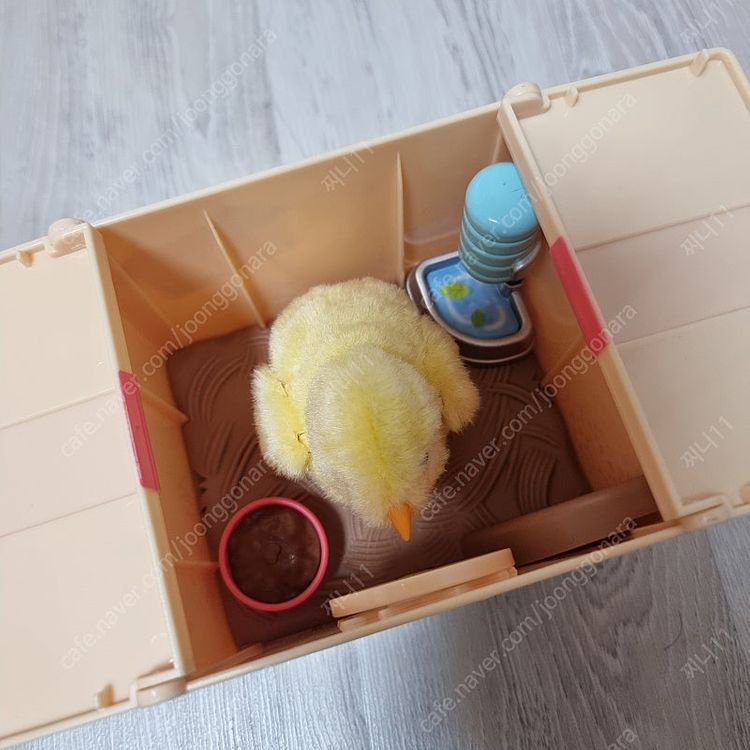 콩지래빗집 이미지