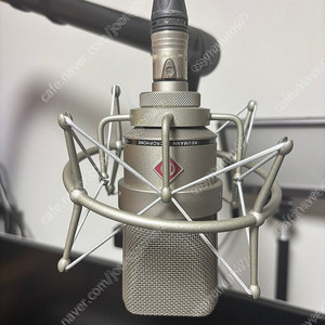 노이만 tlm103 (지난 2월 구매)