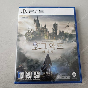 ps5 호그와트 레거시