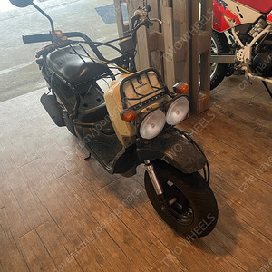 줌머50