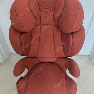 싸이벡스 Cybex Q2-fix plus 주니어 카시트