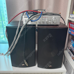 psb alpha b1 스피커, musiland monitor 03 us, marriola amp