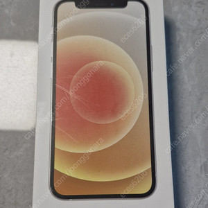 애플 라이트닝 to C 케이블 새거 + 아이폰미니 12 박스+ 액정필림2장