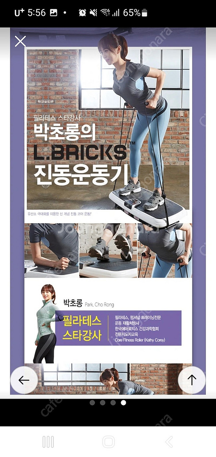 엘브릭스 진동 운동기 LS-9000 덜덜이(영상포함)--0
