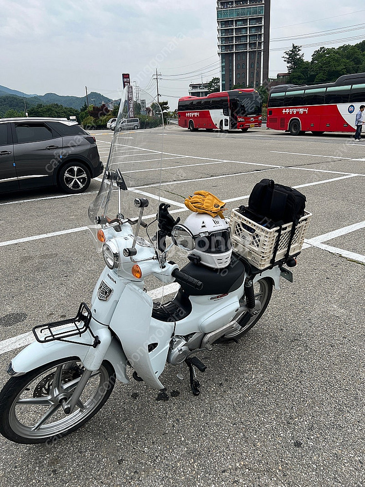 슈퍼커브 110(23년식 7,000km)--0