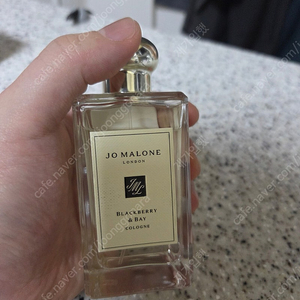 조말론 블랙베리앤베이 라임바질앤 만다린 100ml