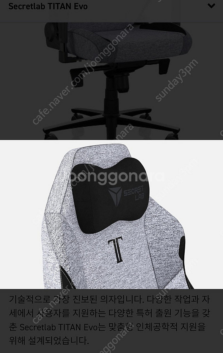 시크릿랩 타OI탄 에보(TITAN Evo) 게이밍의자 ...--1