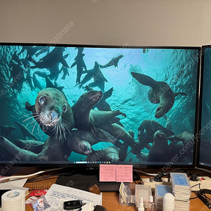 LG UHD 4K 43UN700 모니터