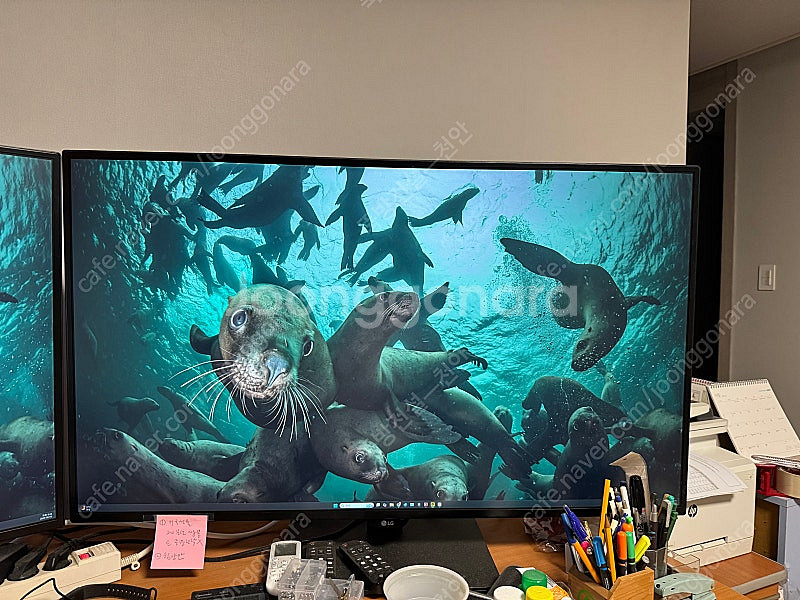 LG UHD 4K 43UN700 모니터--1