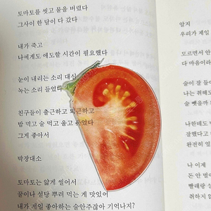 옥토 토마토 책갈피 교환 구함, 판매도 합니다