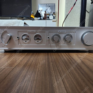 하이파이로즈 RA280 인티앰프