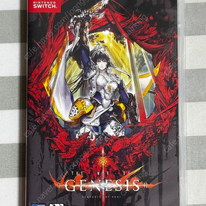 닌텐도 스위치 창세기전 회색의 잔영