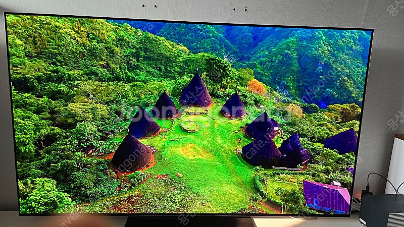 엘지.OLED TV 55 G4국내정발. 스탠드--2
