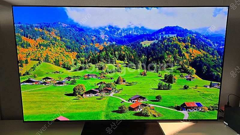 엘지.OLED TV 55 G4국내정발. 스탠드--3