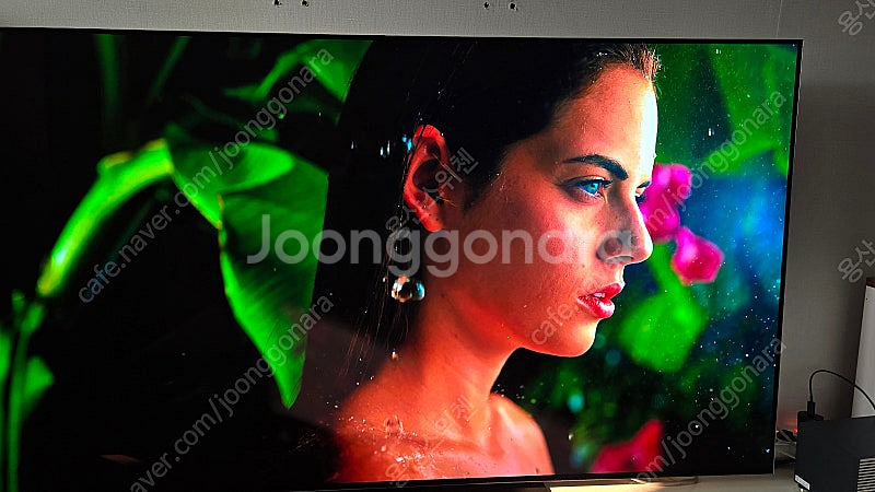 엘지.OLED TV 55 G4국내정발. 스탠드--4