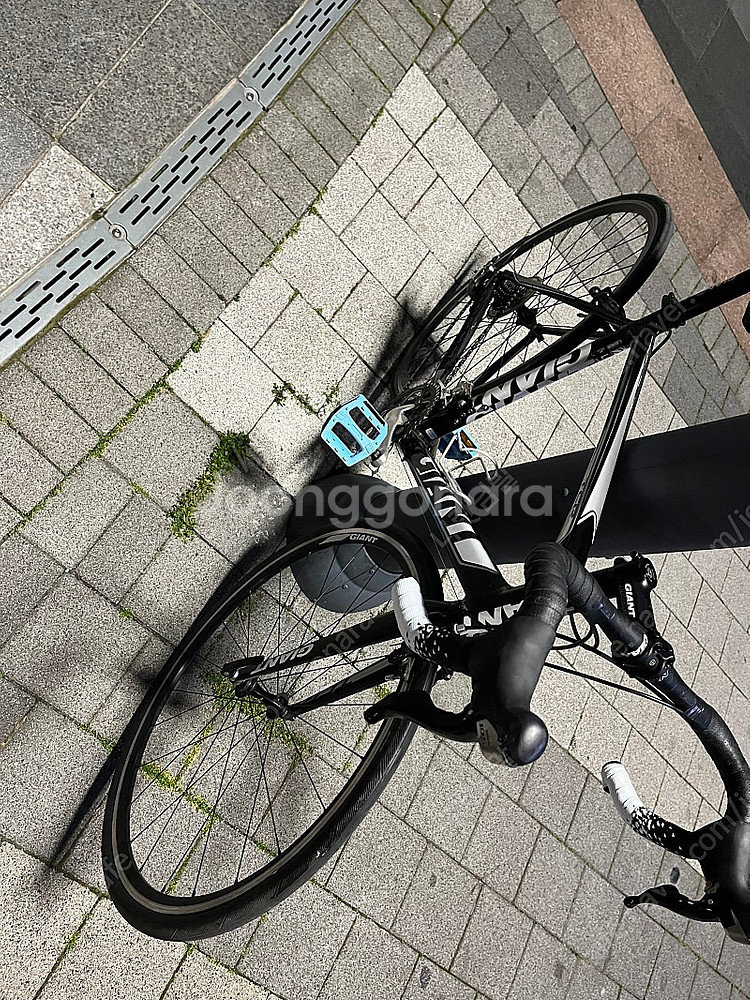 자이언트 TCR2 105 로드 자전거--1