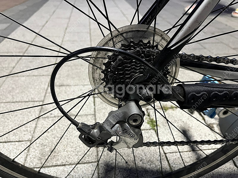 자이언트 TCR2 105 로드 자전거--5