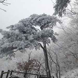 시안추모공원 1위/2위 원합니다
