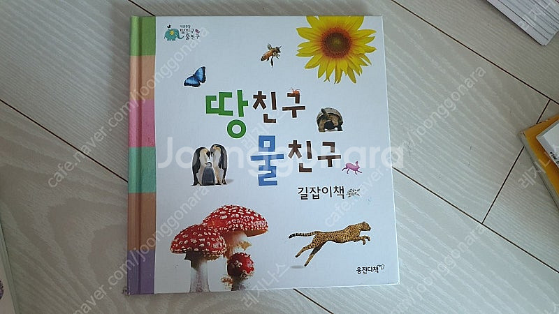 마술피리 그림책 꼬마,땅친구물친구,스토리붐붐,킨더랜드 ...--2