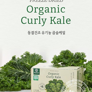 베네팜 유기농 컬리(곱슬)케일 100% 분말