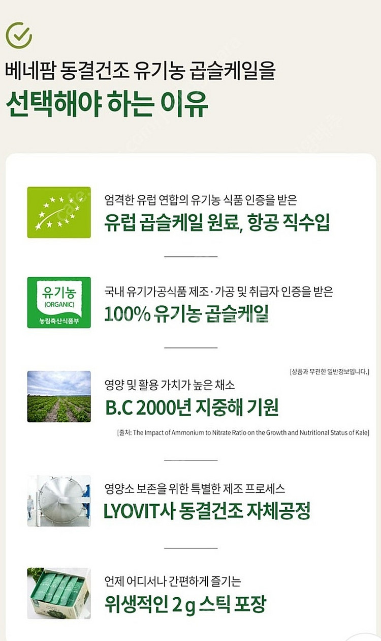 베네팜 유기농 컬리(곱슬)케일 100% 분말--1