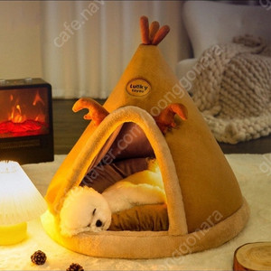 강아지 고양이 집 새상품