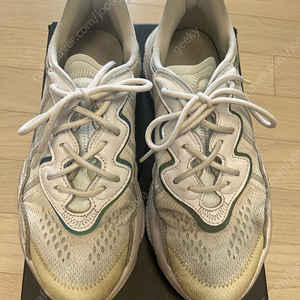 아디다스 오즈위고(EF4287) 260사이즈 팝니다.