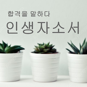 자소서대필 자기소개서 첨삭 가격 비용
