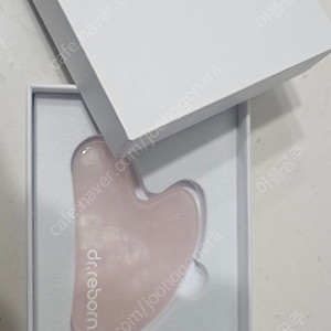 닥터리본 옥 괄사