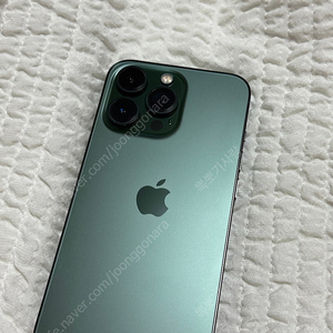 아이폰 13 Pro 512GB 알파인그린