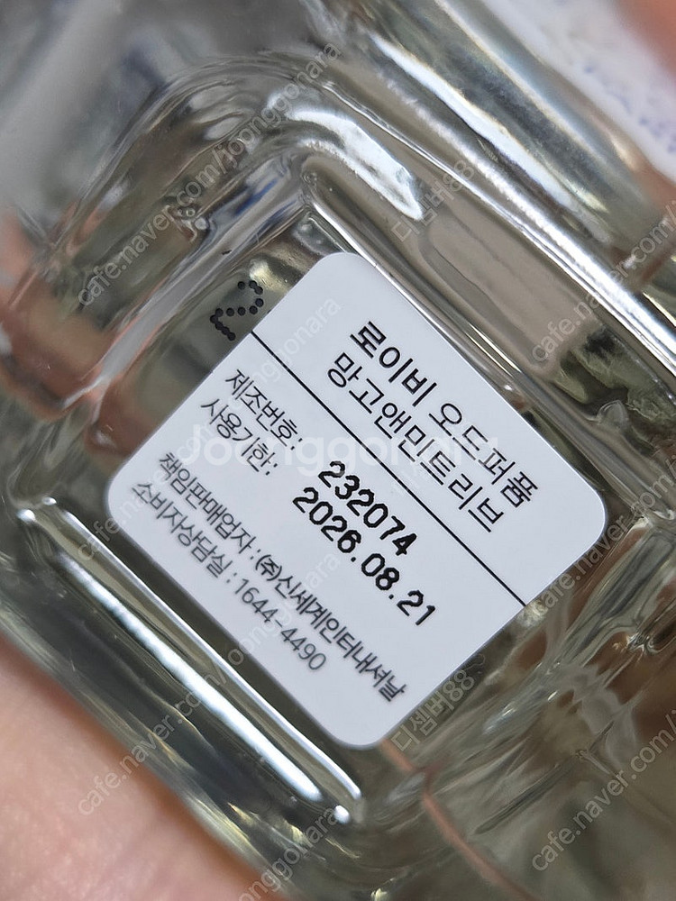로이비 향수 망고앤민트리브--1
