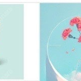 스타벅스 프리퀀시 미션 (2900)