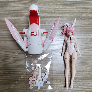 스네일쉘 에일린+바이크