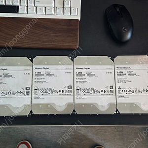 WD HC550 14TB SAS 판매합니다.