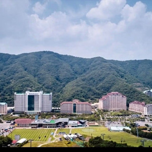 6월7월 홍천 비발디파크 소노펠리체 양도합니다