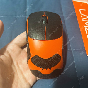 람주 쏜 프나틱 팝니다