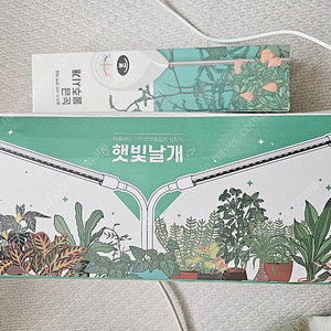 식물전파사 식물등