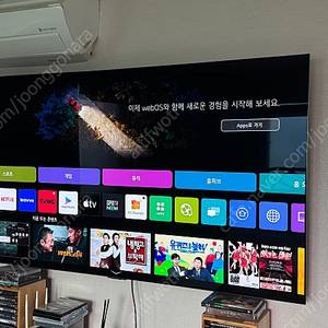 LG 올레드 65인치 OLED65C2SNC